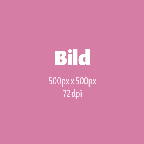 Dozent_Bild_Vorlage